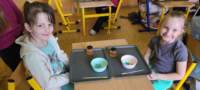 img20250314wa0055_small.jpg