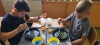 img20250314wa0058_small.jpg