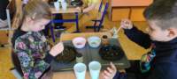 img20250314wa0059_small.jpg