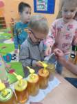 img20250516wa0005_small.jpg
