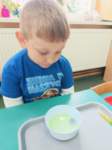 img20250425wa0030_small.jpg