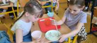 img20250425wa0149_small.jpg