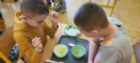 img20250425wa0160_small.jpg