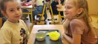img20250425wa0165_small.jpg