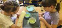 img20250425wa0169_small.jpg