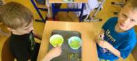 img20250425wa0186_small.jpg
