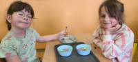 img20250425wa0191_small.jpg