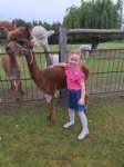 img20250607wa0041_small.jpg