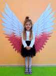 img20260430wa0000_small.jpg