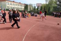 img_5381_small.jpg